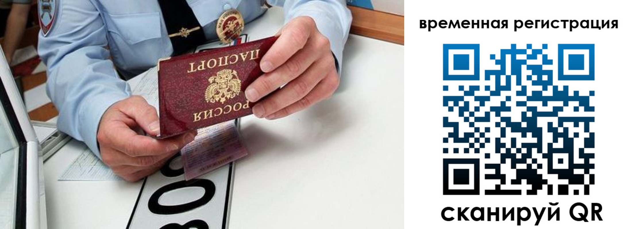 прописка гарантия в Глазове